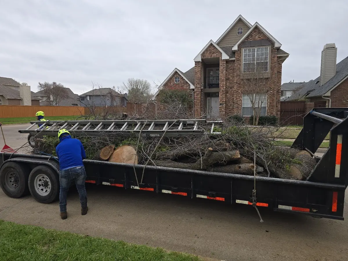 Expert Lot Clearing with proper safety equipment in Absecon